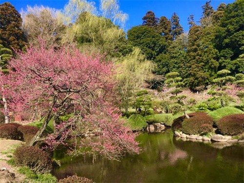 水戶偕樂園