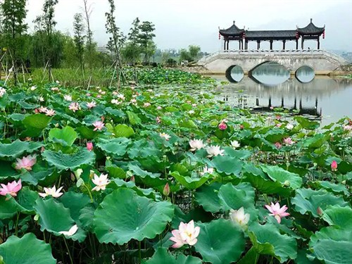 飛來(lái)湖公園001